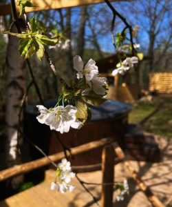 Будинок на березі гірської річки с. Гриньків Івано-Франківськ 4