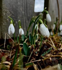 Будинок на березі гірської річки с. Гриньків Івано-Франківськ 2