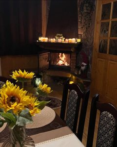 Будинок на березі гірської річки с. Гриньків Івано-Франківськ 6