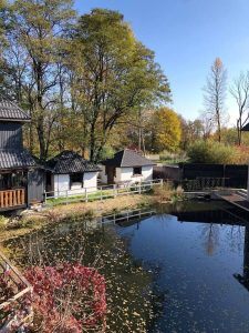 Сауна Тріо c. Угринів Івано-Франківськ 3