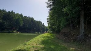 Відпочинковий комплекс Явір Резорт с. Старичі, Івано-Франківськ 8