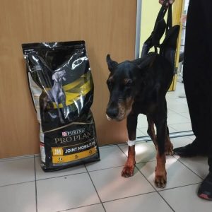 Ветеринарна клініка Айболить Івано-Франківськ 3