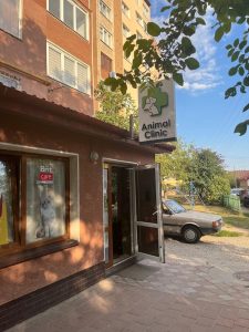 Ветеринарна клініка Animal Clinic Івано-Франківськ 2