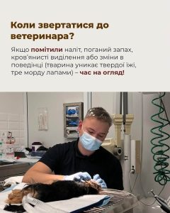 Ветеринарна клініка ОлВет на Гетьмана Мазепи, 183/1 Івано-Франківськ 2