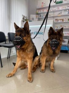 Ветеринарна клініка VetClinic Чернівці 11