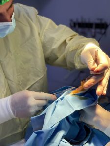 Ветеринарна клініка VetClinic Чернівці 7