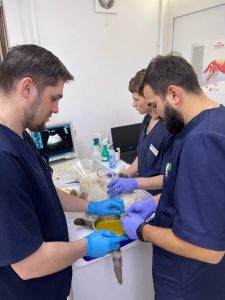 Ветеринарна клініка VetClinic Чернівці 8