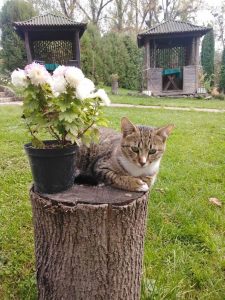 Готель Inn Sport Чернівці 3