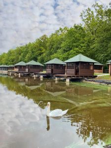 Готельно-ресторанний комплекс GEORG PARK (Георг Парк) Тарашани, Чернівці 37