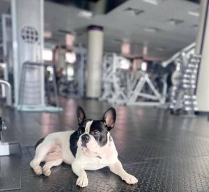 Тренажерний зал Power Gym Чернівці 16