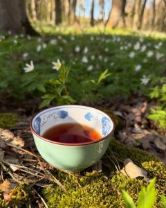 Йога-студія "Територія йоги" Луцьк 9