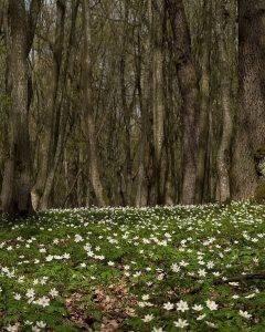Йога-студія "Територія йоги" Луцьк 5