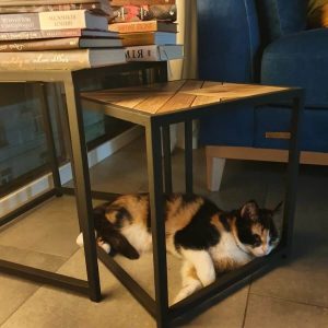 Йога-студія "Територія йоги" Луцьк 1