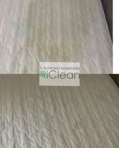 Клінінгова компанія iClean Івано-Франківськ 11