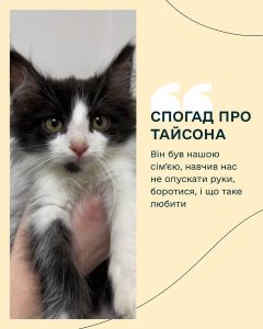SPOGAD кремація тварин та Камінь Спогаду Київ 9