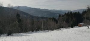 Таксі Трансфер Яремче 12